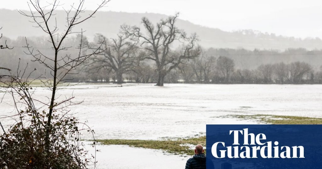 ‘It sounds apocalyptic’: experts warn of impact of UK floods on birds, butterflies and dormice | Flooding