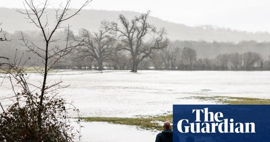 ‘It sounds apocalyptic’: experts warn of impact of UK floods on birds, butterflies and dormice | Flooding