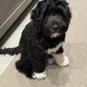 Republicans in Congress have unveiled a new bill that would impose the most extreme … – Threads