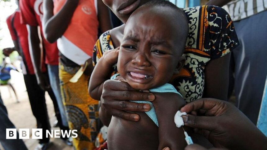 5a9712a0-09a5-11f1-90a0-33c579c60bf0.jpg Planned US-funded baby vaccine trial in Guinea-Bissau blasted by WHO – BBC