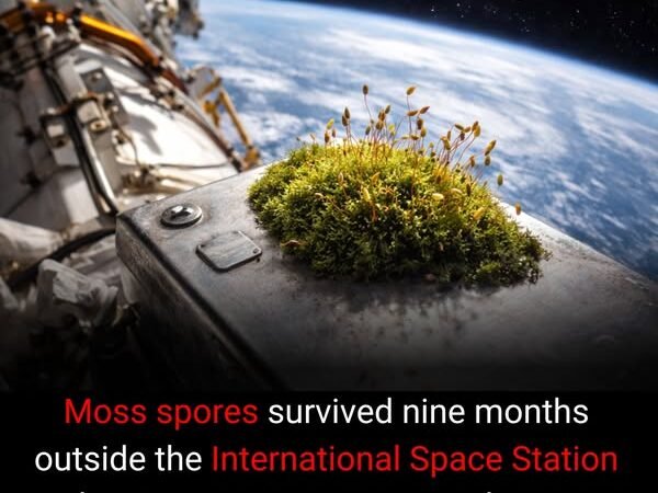 Scientists have discovered that… – Engineering & Science