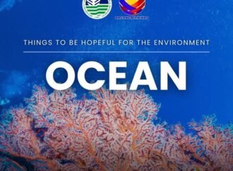 Department of Environment and Natural Resources (DENR)