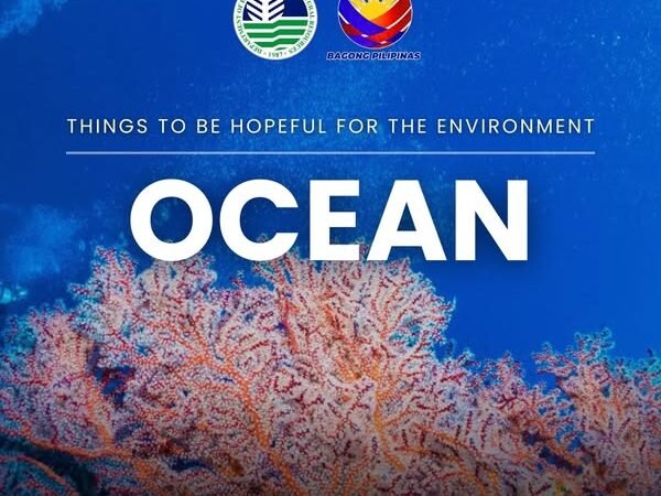 Department of Environment and Natural Resources (DENR)