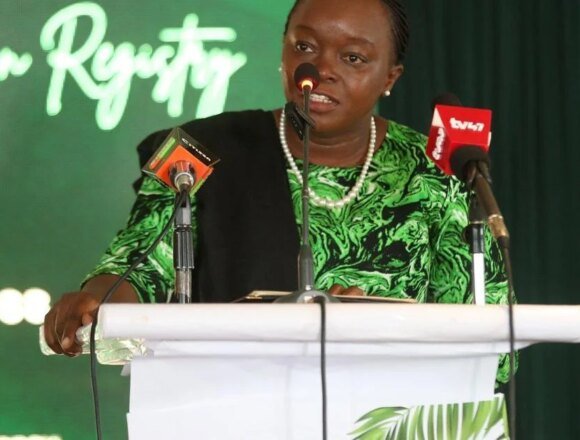 69944aa70bcc1.image_.jpg Kenya launches a carbon registry to boost climate finance and credibility | Environment News