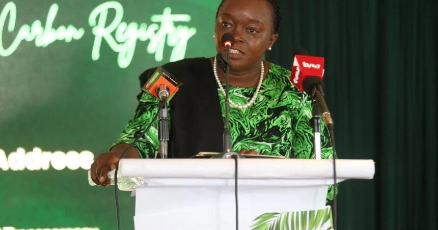 Kenya launches a carbon registry to boost climate finance and credibility | Environment News