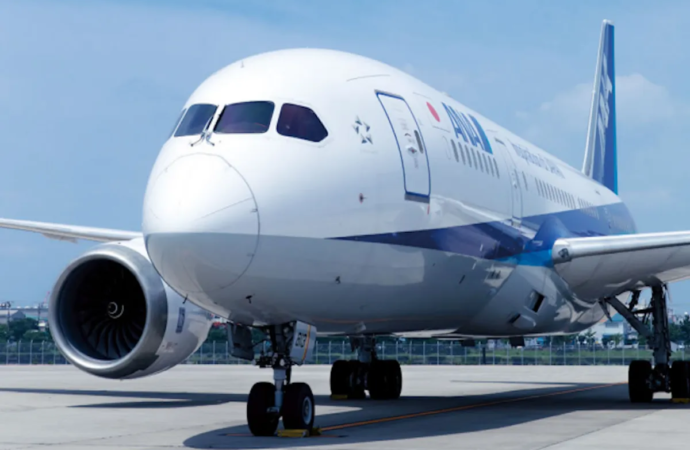 ANA names Hirasawa as new president and CEO