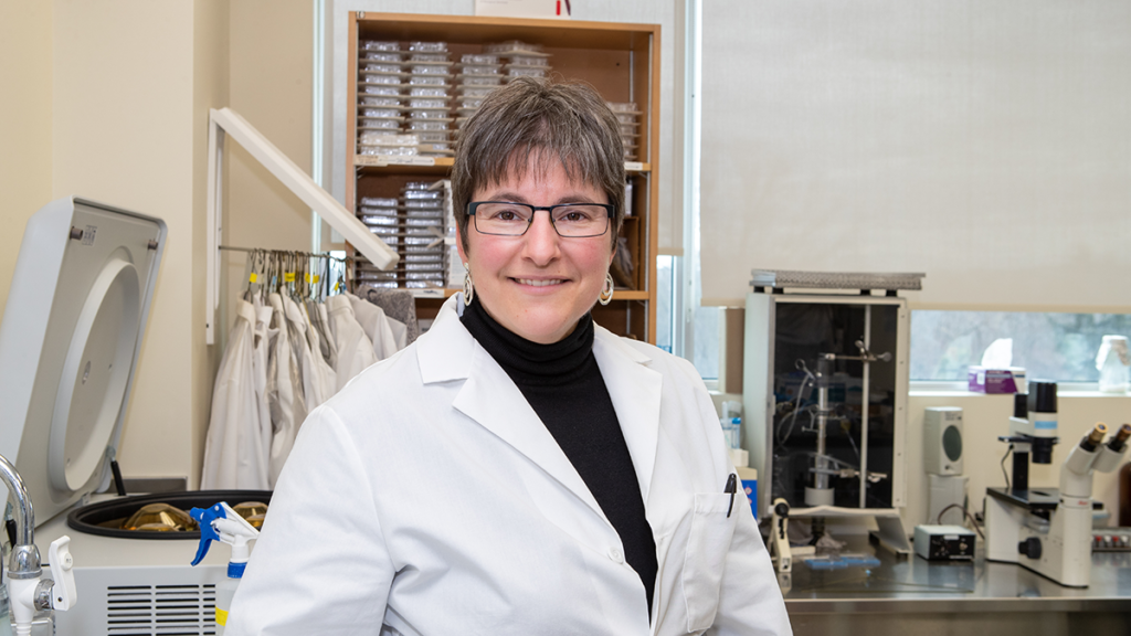 McMaster Professor Karen Mossman elected fellow of the American Academy of Microbiology