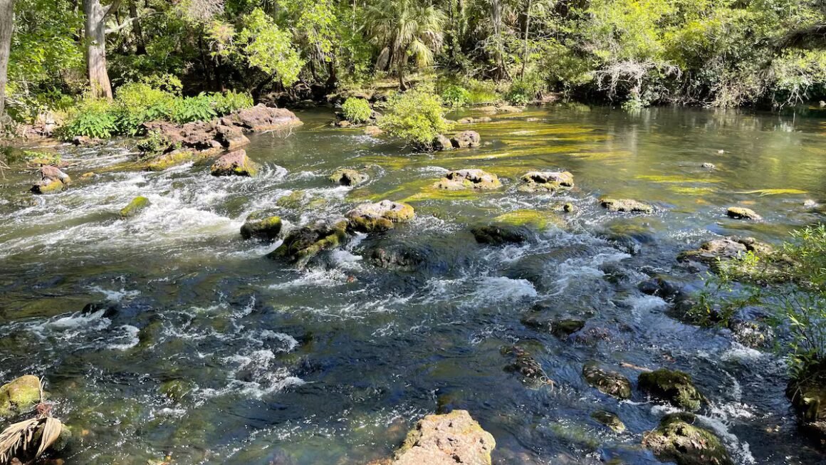 Could Florida's conservation lands soon be sold for agriculture? – Tampa Bay Times