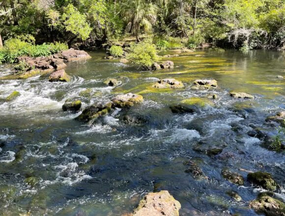 Could Florida's conservation lands soon be sold for agriculture? – Tampa Bay Times