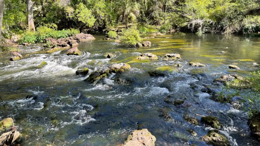 Could Florida's conservation lands soon be sold for agriculture? – Tampa Bay Times