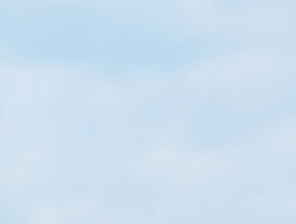 Florida Vibes – Instagram