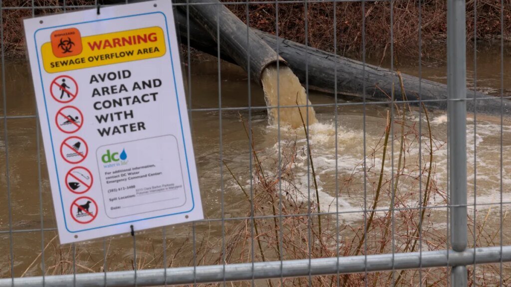 Potomac River sewage spill fuels Trump-Moore clash – NBC4 Washington
