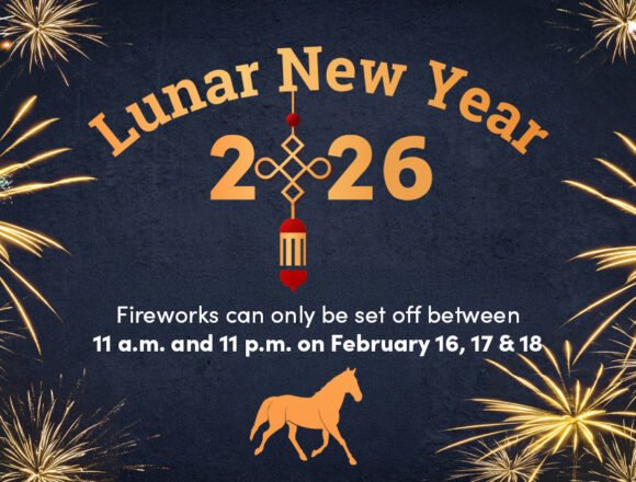 Ajax Fire reminds residents of fireworks safety tips for Lunar New Year 2026