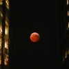 Total lunar eclipse to grace Southeast Georgia, Northeast Florida