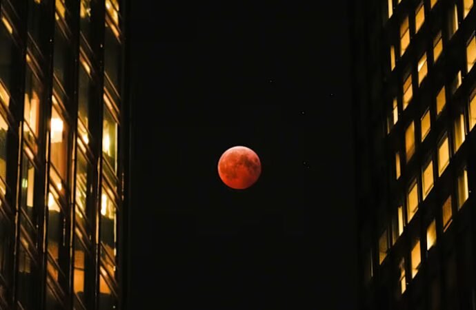 Total lunar eclipse to grace Southeast Georgia, Northeast Florida