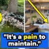 42 Splurges And Renovations That Homeowners Regret – BuzzFeed
