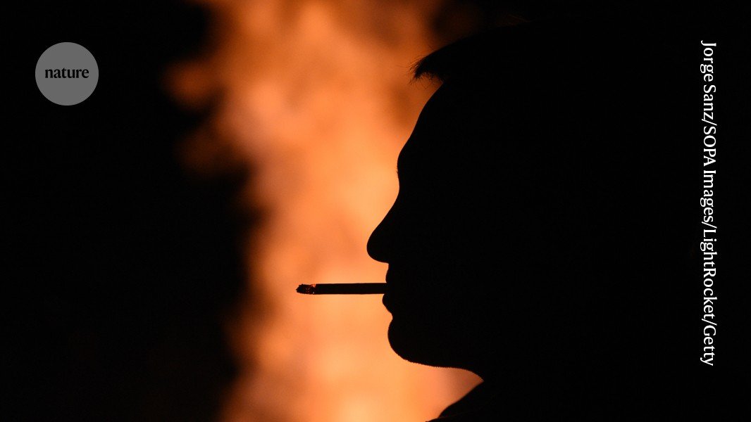 More than one-third of cancer cases are preventable, massive study finds