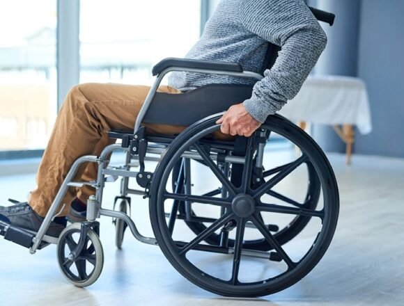 spinal-cord-organoids-800x560-m.jpg Spinal Cord Organoids Help Test Paralysis Treatment