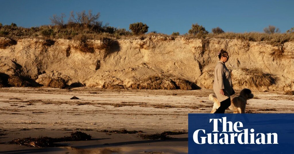 Stripped of life: the deadly South Australian algal bloom is still spreading one year on | Marine life