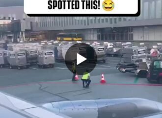 #environment #culture | Manish Narang | 45 comments – LinkedIn