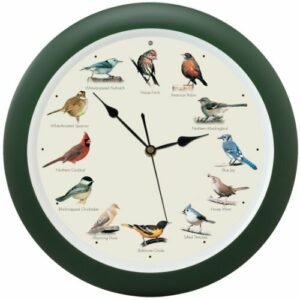 The Original Singing Bird Hanging Wall Sound Clock, 13 Inch, Green