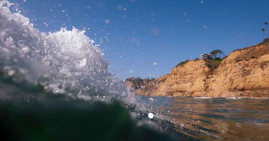 Human-Made Chemicals Found Throughout Ocean Environments