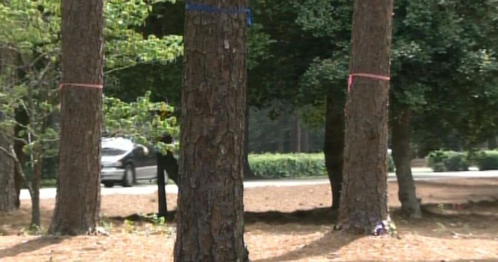 NCDOT to move forward with Pinehurst traffic circle project, despite backlash from community :: WRAL.com