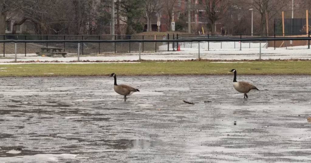 Environment Canada issues special weather statement for heavy snow, freezing rain in Ottawa