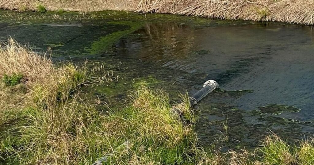 Tesla wastewater discharge raises local concerns | News In English