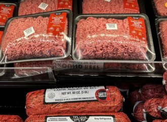 Gen Z men are eating ‘boy kibble’, the human equivalent to dog food, to load up on protein cheaply