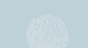 Garden Court barristers recognised on Pro Bono Recognition List of England & Wales 2026