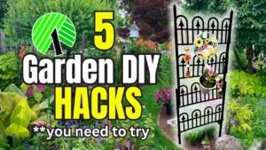 STOP Overspending! Try These 5 Dollar Tree Garden DIY Hacks!
