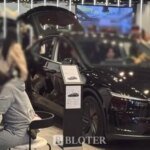 Tesla And Hyundai Drive South Korea EV Boom