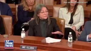 "How do you put a hospice in a burrito stand?" Hospice advocacy group CEO says fraud is …