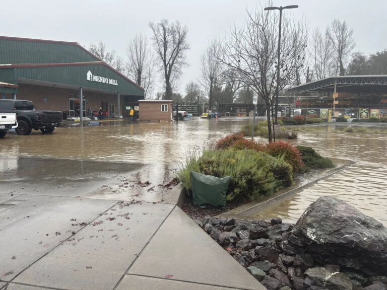 Newsom proclaims state emergencies to aid storm-hit Santa Cruz, Sonoma, Mendocino