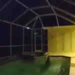 Police in Tampa, Florida, responded to a 3:00 am call after an alligator snuck inside a residential pool. Bodycam video from a police officer captures the attempt to wrestle the alligator out of the pool and onto the back of a pickup truck with the help of a trapper.