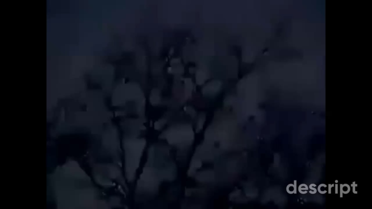 EFTA01648569 is a creepy video in Spanish in the files. I’ve added the English subtitles. Does anyone know what this video relates to in the files? Who sent it?