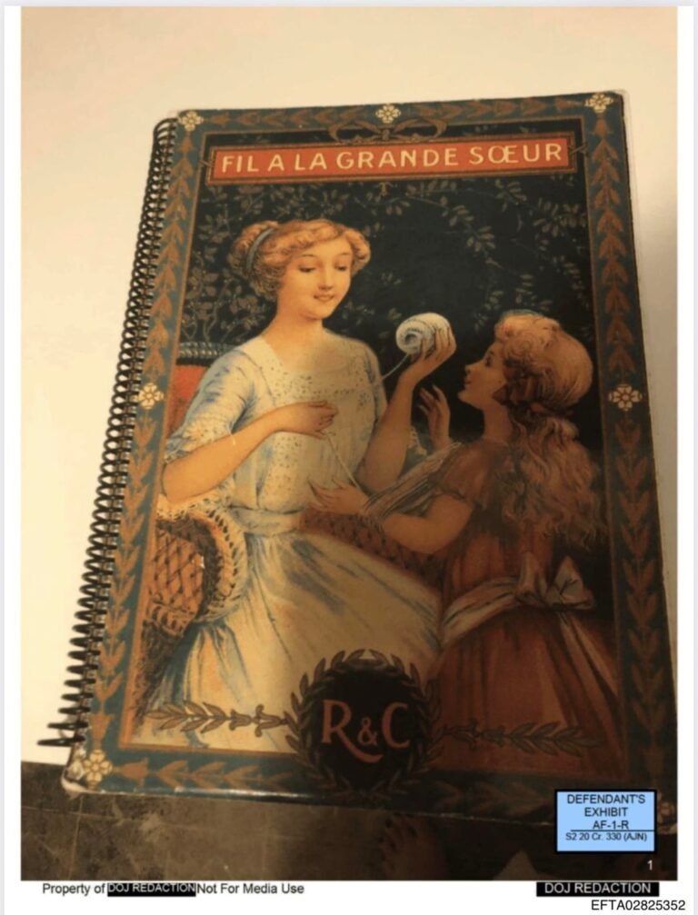 Diary of a victim from 1996 in the Epstein Files. (Transcribed Below)