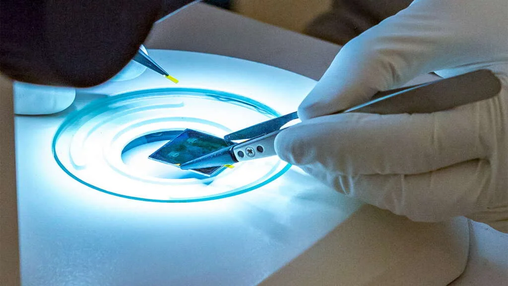 New federal funding brings top international research talent to U of A