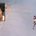 Florida woman faces felonies after brutal dog abuse caught on camera