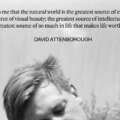 'We have a finite environment—the planet. Anyone who thinks that you can have … – Instagram