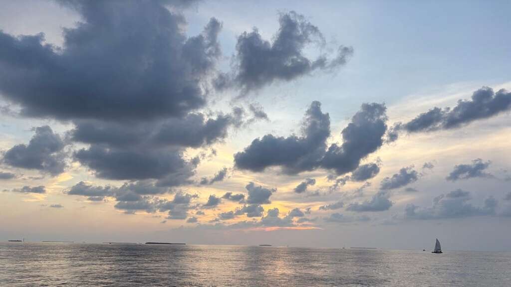 Farewell, Florida – by Eric Fish, DVM