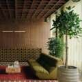 The 5 Shades of Green Shaping Interiors in 2026