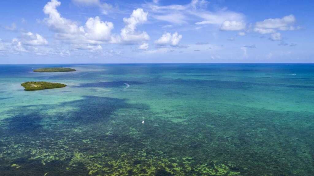 Mississippi woman dies after snorkeling in Florida