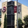 News – St. Tammany Health System