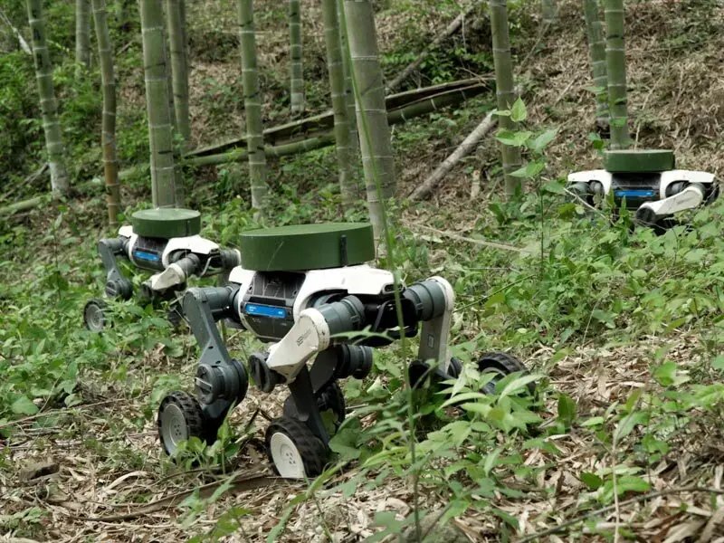 Ultra-Agile All-Terrain Robots : Lynx S10