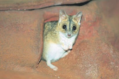Qld bioregional planning news tile.jpg