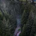 California bill shifts away from logging toward tribal co-management