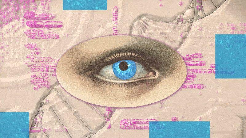 “All my fundees have blue eyes.” Epstein and the tech world’s dark ideology