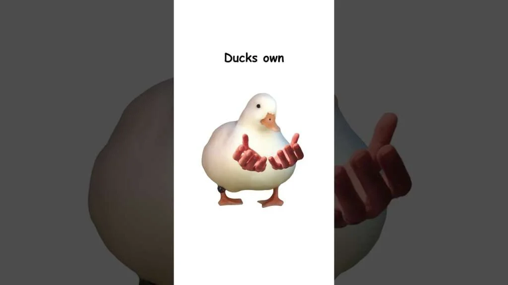 Communism (explained by ducks)